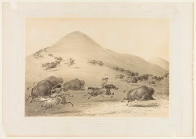 Polowanie na bizony, pościg - nr 6 autorstwa George Catlin