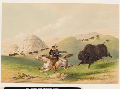 Polowanie na bizony, zapędzanie z powrotem autorstwa George Catlin