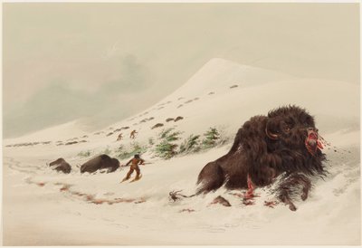  autorstwa George Catlin