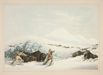 Polowanie na bawoły, Na śniegowcach, pl. 15 z portfolio Indian Ameryki Północnej autorstwa George Catlin