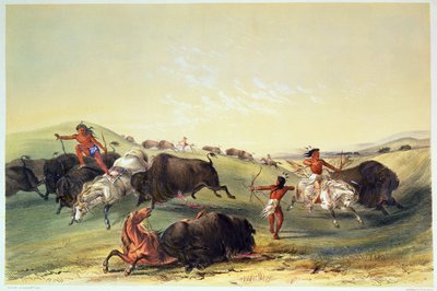 Buffalo Hunt, płyta 7 z kolekcji Catlin