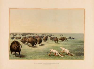 Polowanie na bizony pod Białą Wilczą Skórą - nr 13 autorstwa George Catlin