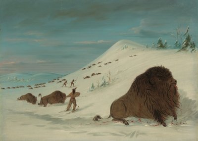Buffalo Lancing in the Snow Drfts - Sioux, 18611869. autorstwa George Catlin