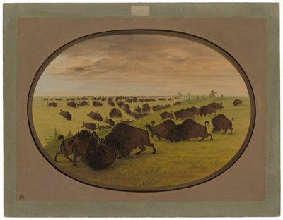 Bulls Fighting   1225573   pl       polish Successfully Translated  Original: Funerary Portrait of James Cardinal Gibbons Translat: Funerary Portrait of James Cardinal Gibbons 1260339 pl polish Successfully Translated Original: Flemish tapestry. Series The autorstwa George Catlin