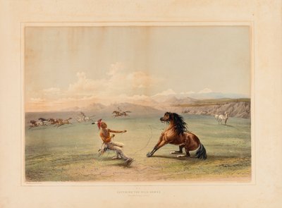 Łapanie dzikiego konia - nr. 4 autorstwa George Catlin