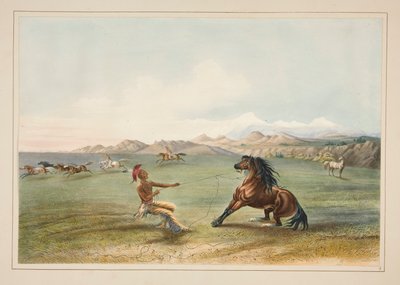 Łapanie Dzikiego Konia, pl. 4 z portfolio Indian Ameryki Północnej autorstwa George Catlin