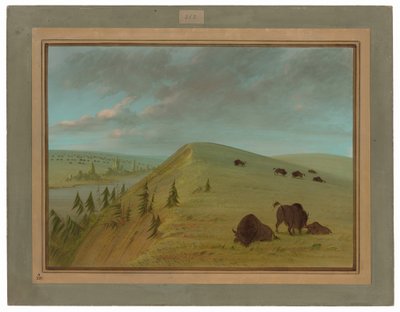 Cedrowe Urwiska autorstwa George Catlin