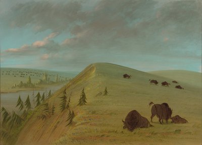 Cedrowe Urwiska, 18611869. autorstwa George Catlin