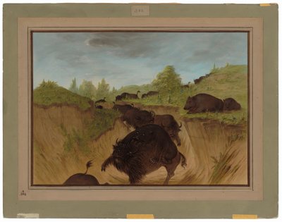 Niedźwiedzie grizzly atakują bawoły autorstwa George Catlin
