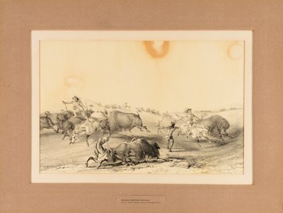Indianie polujący na bizony - nr 7 autorstwa George Catlin