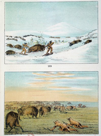 Indianie Ameryki. Polowanie na bizony: Indianie noszą rakiety śnieżne, aby polować w zimie i okrywają się wilczą skórą w lecie. Ilustracja George Catlin (1794-1872) autorstwa George Catlin