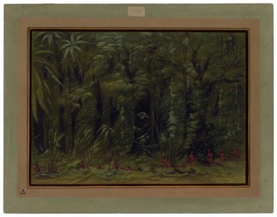 Wnętrze amazońskiego lasu - Zurumati autorstwa George Catlin