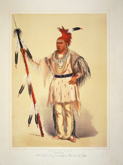  autorstwa George Catlin