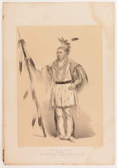 Joc-o-sot, chodzący niedźwiedź autorstwa George Catlin
