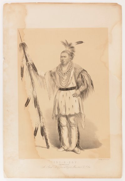 Joc-o-sot, chodzący niedźwiedź autorstwa George Catlin