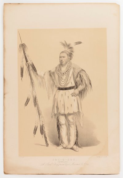 Joc-o-sot, chodzący niedźwiedź autorstwa George Catlin