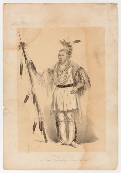 Joc-o-sot, chodzący niedźwiedź autorstwa George Catlin