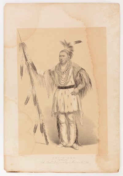 Joc-o-sot, chodzący niedźwiedź autorstwa George Catlin