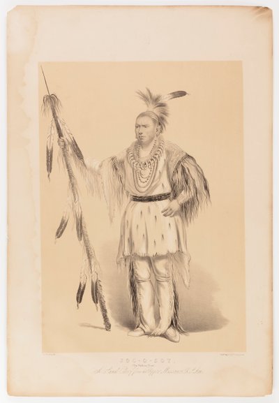 Joc-o-sot, chodzący niedźwiedź autorstwa George Catlin
