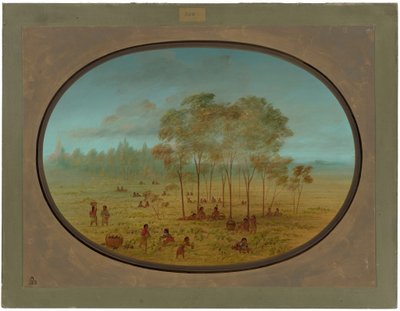 Indianie Kiowa zbierają dzikie winogrona autorstwa George Catlin