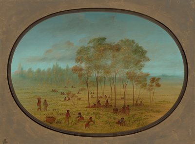 Indianie Kiowa zbierają dzikie winogrona, 18611869. autorstwa George Catlin
