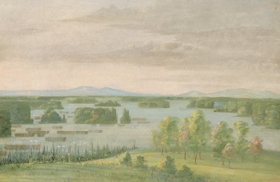 Lac du Cygne (Jezioro Łabędzie), w pobliżu Coteau des Prairies autorstwa George Catlin