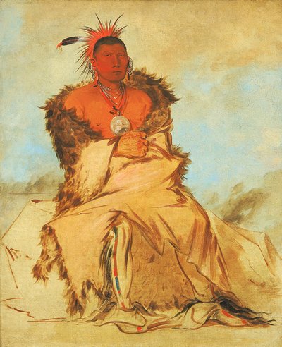 Loo-rá-wée-re-coo, Ptak, który idzie na wojnę, Tapage Pawnee autorstwa George Catlin