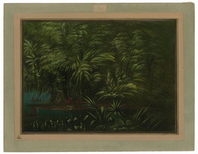 Bujny Las nad brzegiem Amazonki autorstwa George Catlin