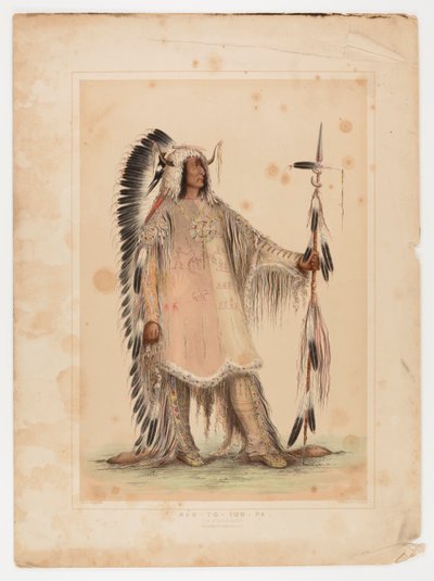Mah-to-toh-pa, wódz Mandanów autorstwa George Catlin