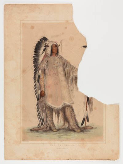 Mah-to-toh-pa, wódz Mandanów autorstwa George Catlin