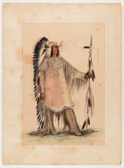 Mah-to-toh-pa, wódz Mandanów autorstwa George Catlin