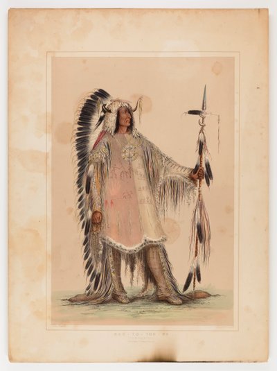 Mah-to-toh-pa, wódz Mandanów autorstwa George Catlin