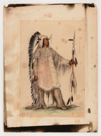 Mah-to-toh-pa, wódz Mandanów autorstwa George Catlin
