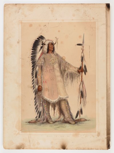 Mah-to-toh-pa, wódz Mandanów autorstwa George Catlin