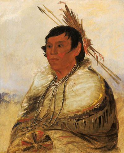 Ni-a-có-mo, Napraw stopą, odważny autorstwa George Catlin