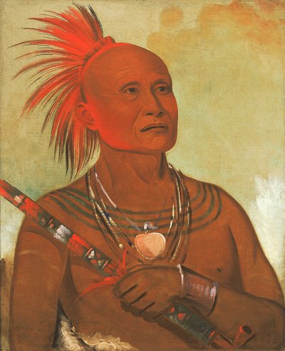 Pam-a-hó, Pływak, jeden z wojowników Czarnego Jastrzębia autorstwa George Catlin