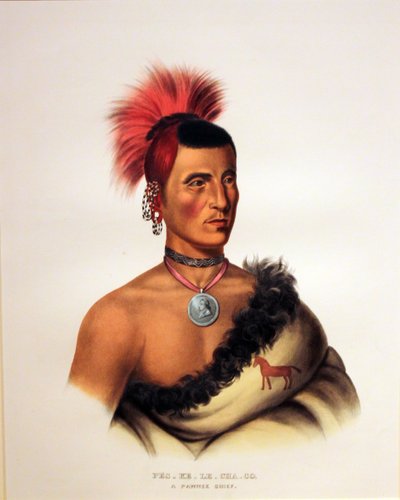 Pawnee Chief Paes K Lech autorstwa George Catlin