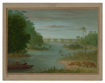 Pont de Palmiers i strzelanie do tygrysów autorstwa George Catlin