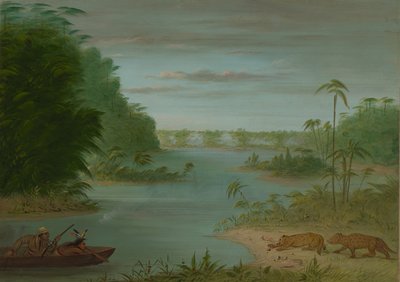 Pont de Palmiers i strzelanie do tygrysów, 18541869. autorstwa George Catlin