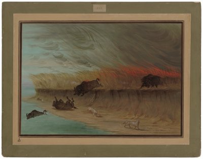 Płonące łąki prerii autorstwa George Catlin