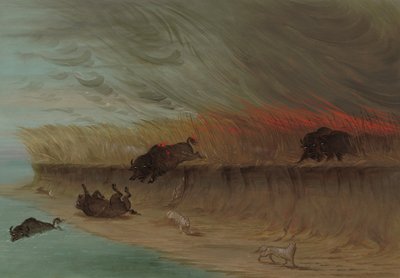 Płonące łąki Prairie, 18611869. autorstwa George Catlin
