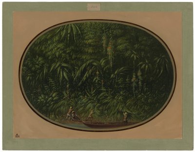 Brzeg Trombetas autorstwa George Catlin