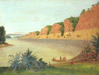 Południowa strona wyspy Buffalo, z jagodami na pierwszym planie autorstwa George Catlin