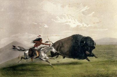 The Buffalo Chase „Singling Out”, wyd. autorstwa Currier i Ives autorstwa George Catlin