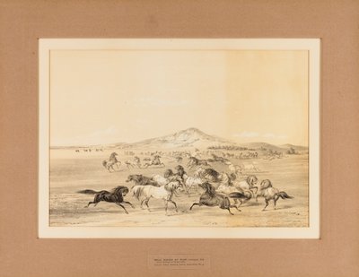 Wild Horses at Play - nr. 3 autorstwa George Catlin