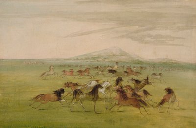 Dzikie konie w zabawie autorstwa George Catlin