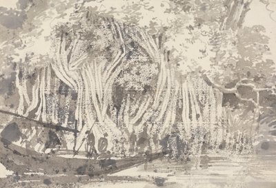 Drzewo Pipul autorstwa George Chinnery