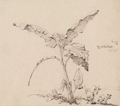 Kozy Pod Bananowym Drzewem autorstwa George Chinnery