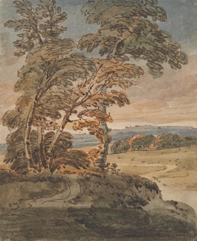 Drzewa na ścieżce na zboczu wzgórza autorstwa George Chinnery