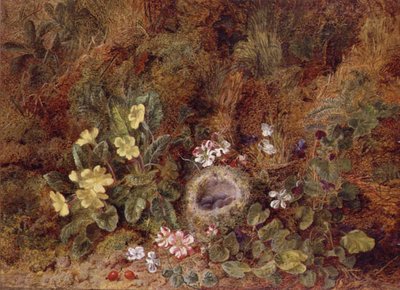 Martwa natura z ptasim gniazdem i dzikimi kwiatami autorstwa George Clare